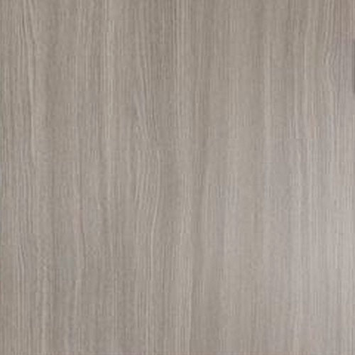 Дуб дымчатый