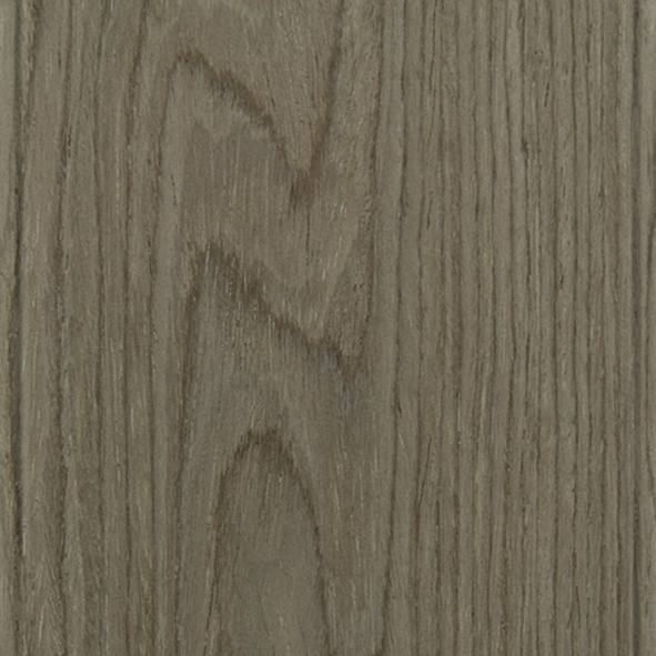 Дуб кофейный