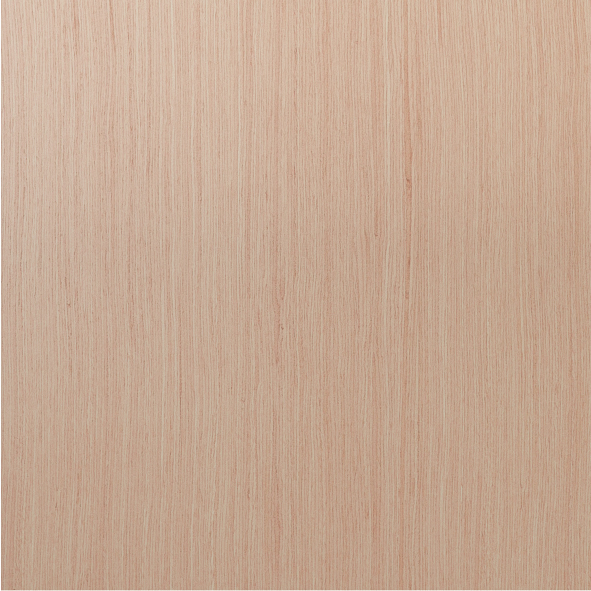 Дуб беленый